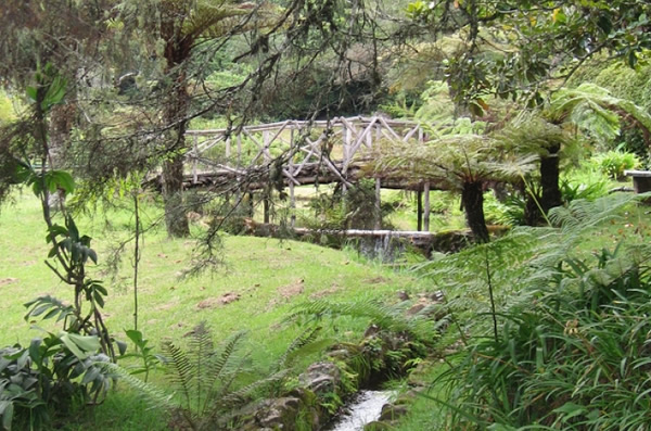 Bvumba Botanical Gardens and Reserve