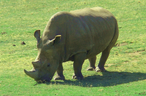 Cecil Kop Wildlife and Nature Reserve 
